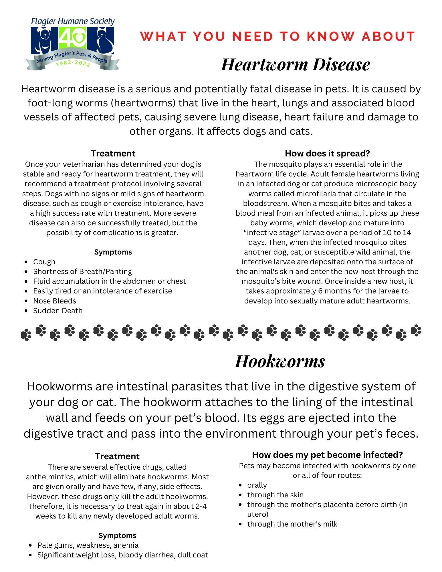 Info graphic about heartworm disease