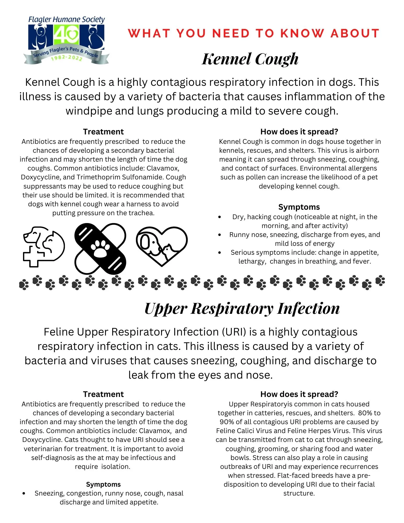 Info graphic about kennel cough
