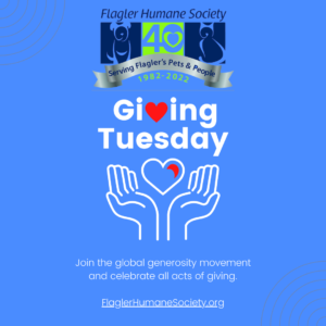 A poster promoting Giving Tuesday
