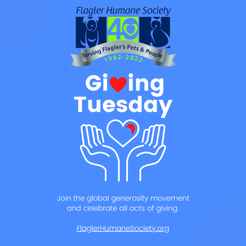 A poster promoting Giving Tuesday