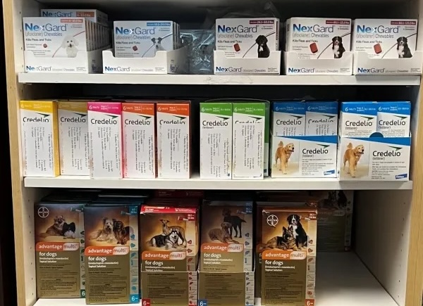 image of flea and heartworm preventation medications for dogs