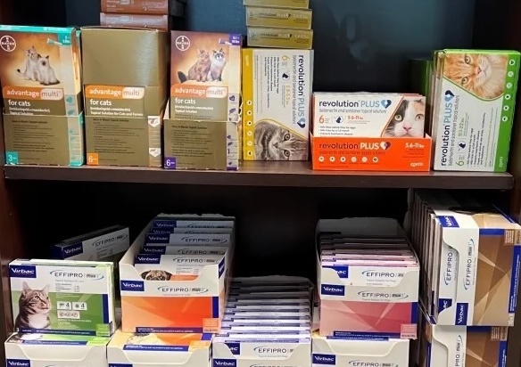 image of flea and heartworm preventation medications for cats