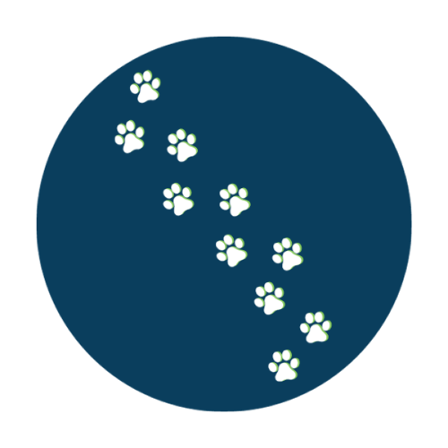 icon for lost pet page
